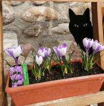 Laden Sie das Bild in den Galerie-Viewer, Black Cat Peeping Tom! Garden Ornaments-Furbaby Friends Gifts