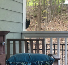 Load image into Gallery viewer, Black Cat Peeping Tom! Garden Ornaments-Furbaby Friends Gifts