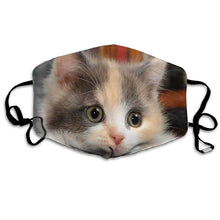 Laden Sie das Bild in den Galerie-Viewer, Calico Kitten-Furbaby Friends Gifts