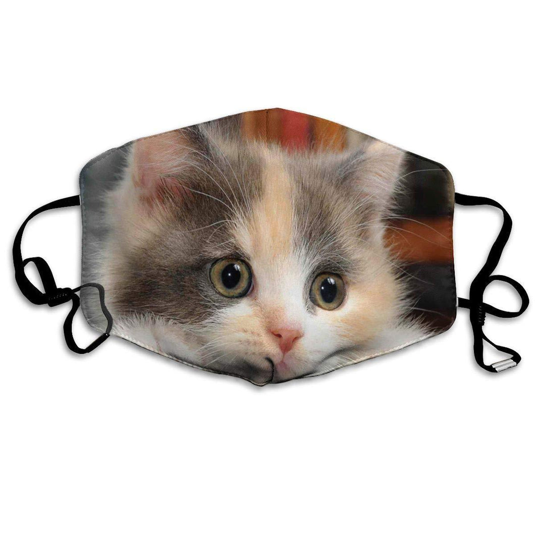 Calico Kitten-Furbaby Friends Gifts