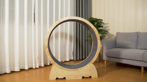 Cat Exercise Wheel-Furbaby Friends Gifts