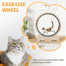 Carregar imagem no visualizador da galeria, Cat Exercise Wheel-Furbaby Friends Gifts