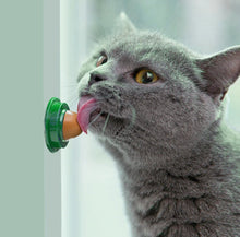 Carregar imagem no visualizador da galeria, Catnip Licks-Furbaby Friends Gifts