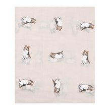 Load image into Gallery viewer, Collie Chiffon Scarf-Furbaby Friends Gifts