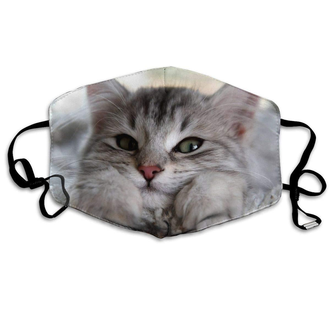 Cute Grey Kitten-Furbaby Friends Gifts