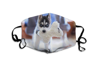 Cute Husky Puppy-Furbaby Friends Gifts