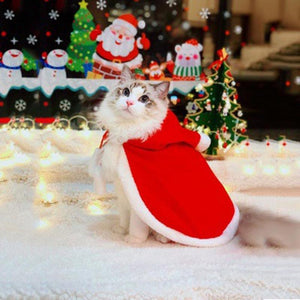 Festive Pet Cloak-Furbaby Friends Gifts