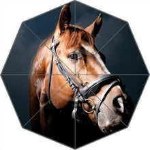 Laden Sie das Bild in den Galerie-Viewer, Horse Print Umbrellas-Furbaby Friends Gifts