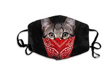 Load image into Gallery viewer, Kitty Bandit-Furbaby Friends Gifts