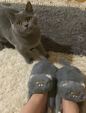 Load image into Gallery viewer, Kitty Cuddles Non-Slip Cosy Slippers-Furbaby Friends Gifts