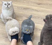 Cargar imagen en el visor de la galería, Kitty Cuddles Non-Slip Cosy Slippers-Furbaby Friends Gifts