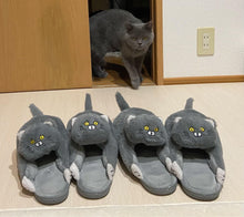 Carregar imagem no visualizador da galeria, Kitty Cuddles Non-Slip Cosy Slippers-Furbaby Friends Gifts