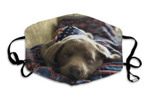 Laden Sie das Bild in den Galerie-Viewer, Silver Labrador Puppy-Furbaby Friends Gifts