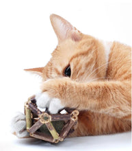 Load image into Gallery viewer, Silvervine Bark Dental Chew Toy For Cats-Furbaby Friends Gifts