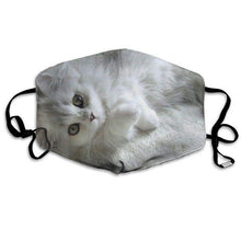 Laden Sie das Bild in den Galerie-Viewer, Snowy Kitty-Furbaby Friends Gifts