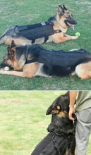 Load image into Gallery viewer, Tactical Military-Style Dog Harness Vest-Furbaby Friends Gifts