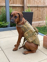 Load image into Gallery viewer, Tactical Military-Style Dog Harness Vest-Furbaby Friends Gifts